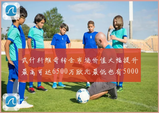 武什科维奇转会市场价值大幅提升最高可达6500万欧元最低也有5000万欧元