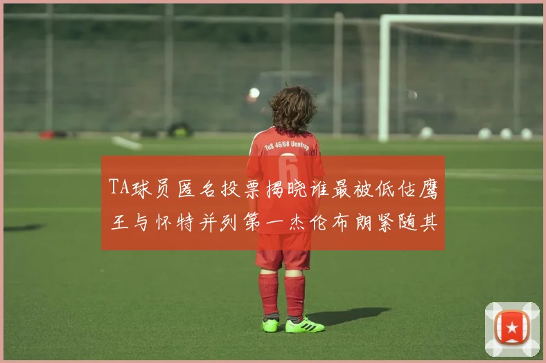 TA球员匿名投票揭晓谁最被低估鹰王与怀特并列第一杰伦布朗紧随其后
