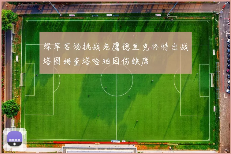 绿军客场挑战老鹰德里克怀特出战塔图姆奎塔哈珀因伤缺席