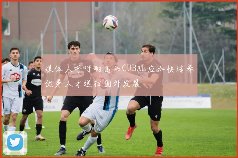 媒体人呼吁耐高和CUBAL应加快培养优秀人才送往国外发展