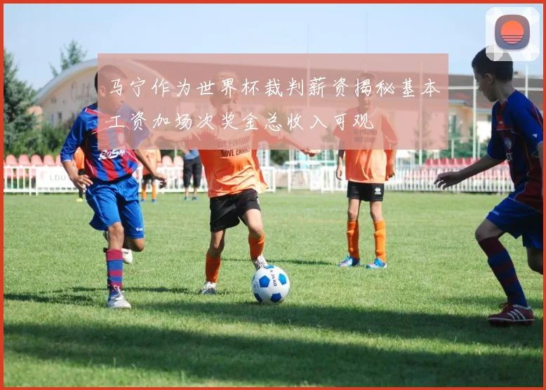 马宁作为世界杯裁判薪资揭秘基本工资加场次奖金总收入可观