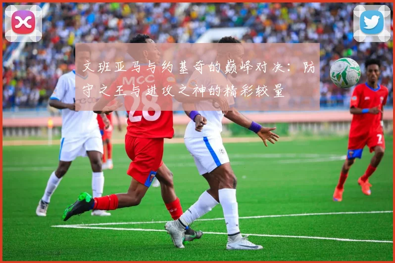 文班亚马与约基奇的巅峰对决：防守之王与进攻之神的精彩较量