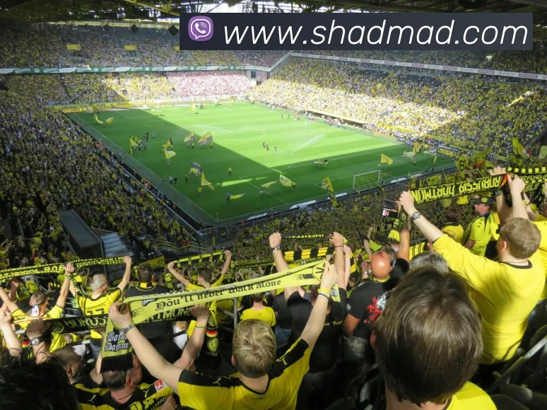 战术分析频道